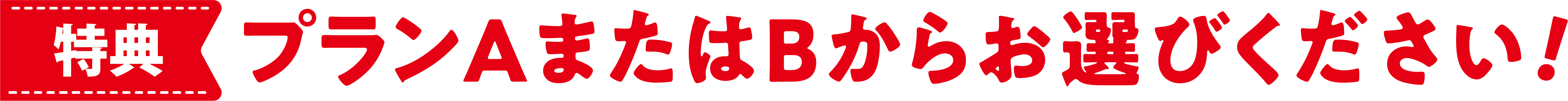特典 プランAまたはBからお選びください