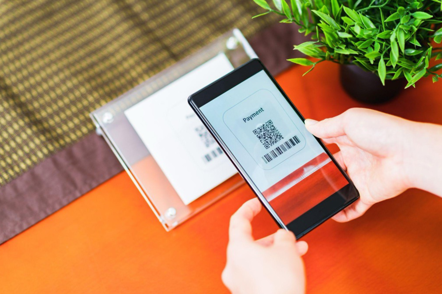 dポイントと交換できるポイント9選 | Benefit Station.